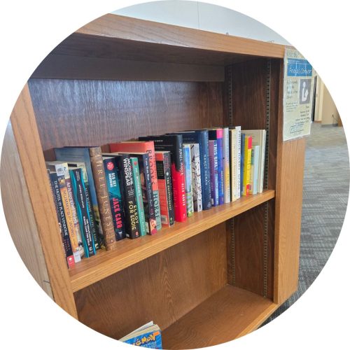 Website Blog Posts (30)